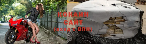 тгк Абаза