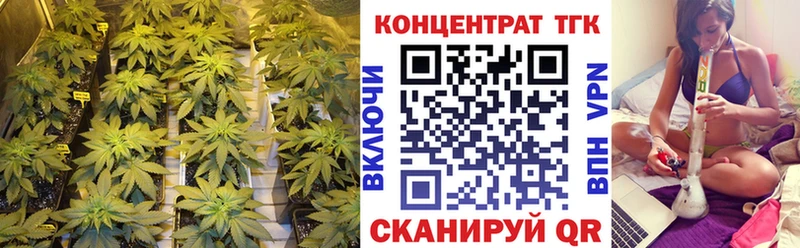 как найти закладки  Суоярви  Дистиллят ТГК THC oil 