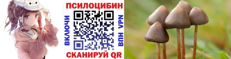 Галлюциногенные грибы Psilocybe Суоярви
